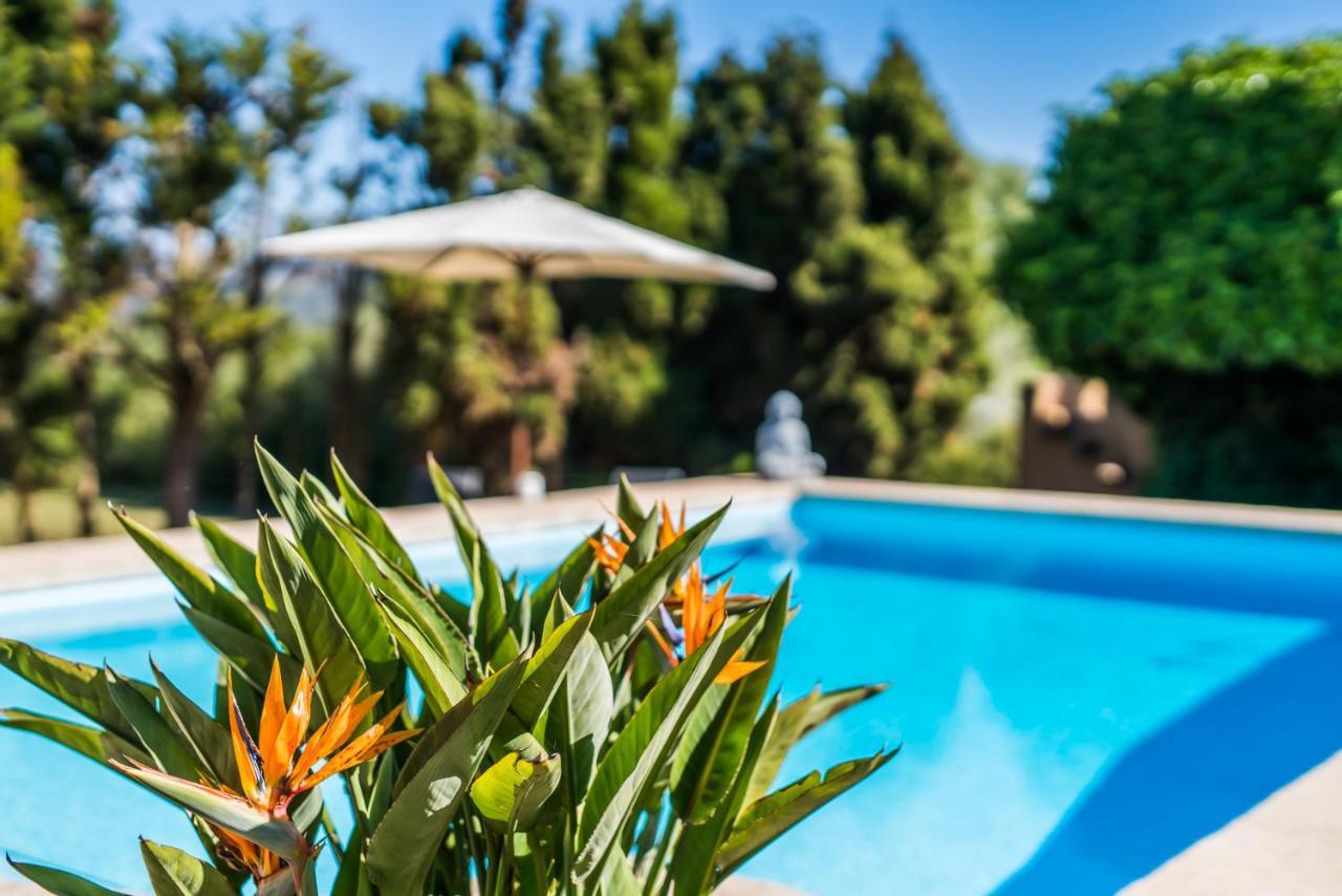 Vakantiehuis Casa Piscina Artá